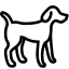 dogracinguk.com